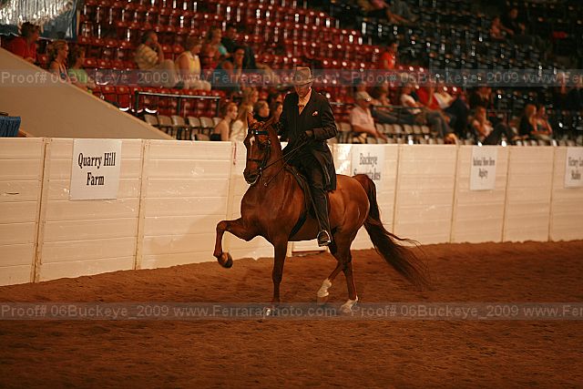 Proof 06buckeye_2009