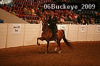 06buckeye_2009 proof