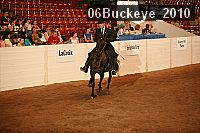 06buckeye_2010 proof
