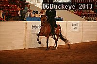 06buckeye_2013 proof