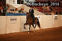 06buckeye_2014 proof