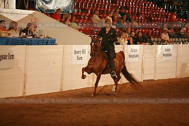 Proof 06buckeye_2015
