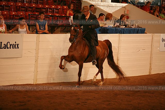Proof 06buckeye_2016