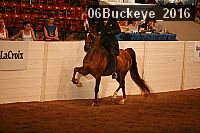 06buckeye_2016 proof