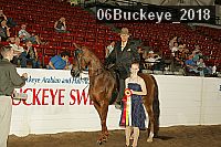06buckeye_2018 proof