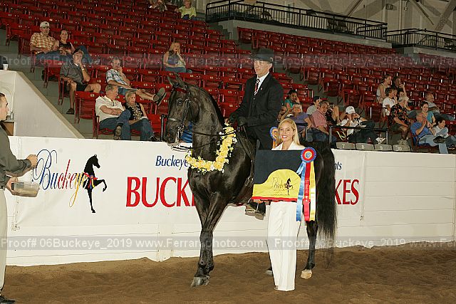 Proof 06buckeye_2019