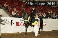 06buckeye_2019 proof