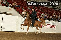 06buckeye_2020 proof