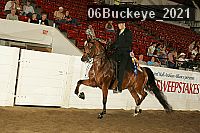 06buckeye_2021 proof