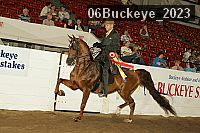 06buckeye_2023 proof