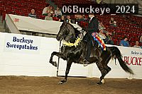 06buckeye_2024 proof