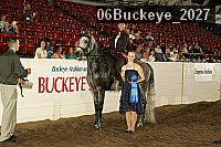 06buckeye_2027 proof
