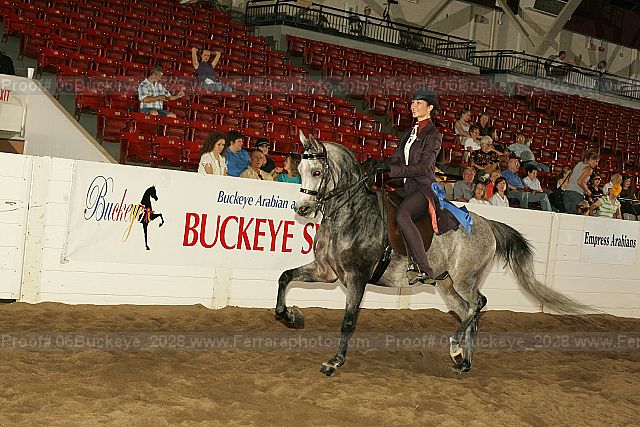 Proof 06buckeye_2028