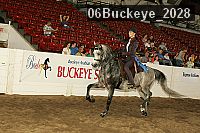 06buckeye_2028 proof