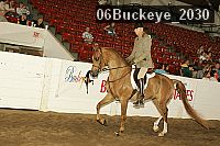 06buckeye_2030 proof