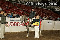 06buckeye_2036 proof