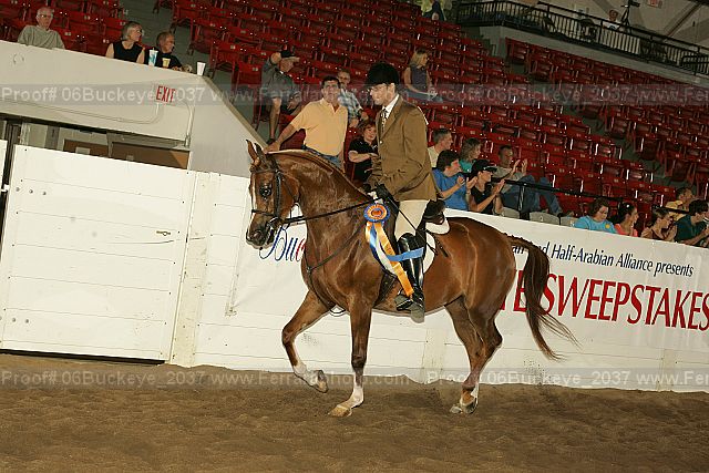Proof 06buckeye_2037