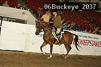 06buckeye_2037 proof