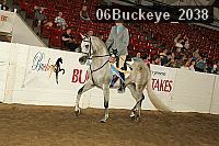 06buckeye_2038 proof