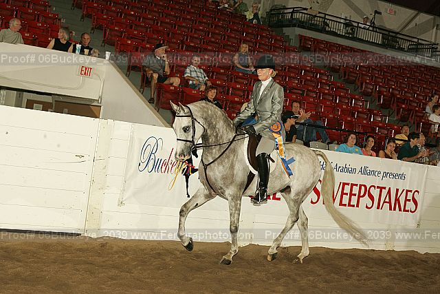 Proof 06buckeye_2039