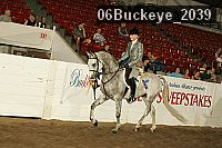 06buckeye_2039 proof