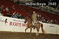 06buckeye_2040 proof