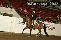 06buckeye_2042 proof