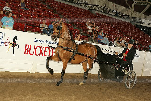 Proof 06buckeye_2046