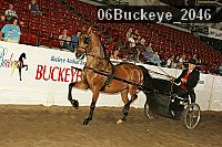 06buckeye_2046 proof