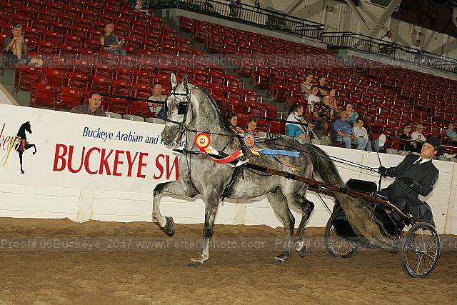 Proof 06buckeye_2047