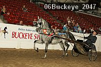 06buckeye_2047 proof