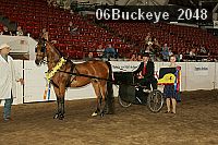 06buckeye_2048 proof