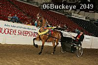 06buckeye_2049 proof