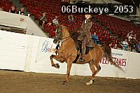 06buckeye_2053 proof