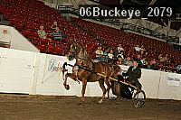 06buckeye_2079 proof