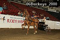 06buckeye_2080 proof