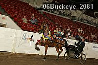 06buckeye_2081 proof