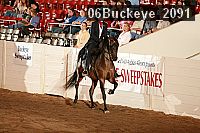 06buckeye_2091 proof