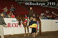 06buckeye_2115 proof