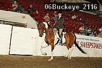06buckeye_2116 proof
