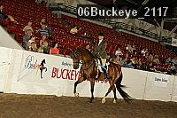 06buckeye_2117 proof