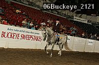 06buckeye_2121 proof