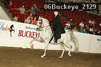 06buckeye_2129 proof
