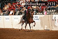06buckeye_2131 proof