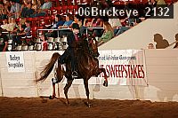 06buckeye_2132 proof