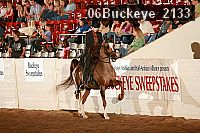 06buckeye_2133 proof