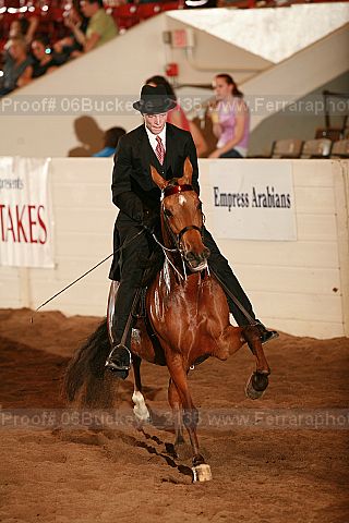 Proof 06buckeye_2135
