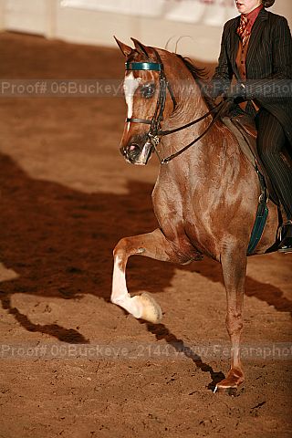 Proof 06buckeye_2144