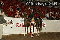 06buckeye_2145 proof