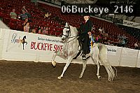 06buckeye_2146 proof
